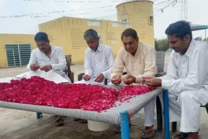 तैयार हो रहा गर्मियों का तोहफा