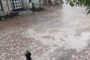 संगरूर में भारी ओलावृष्टि