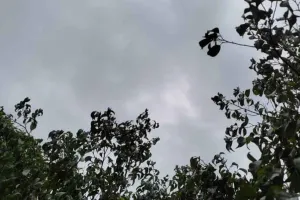 IMD Alert : पंजाब में फिर येलो अलर्ट
