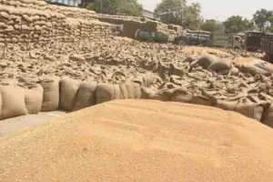 सीधे किसानों के खातों में पहुंचेंगे 317.22 करोड़