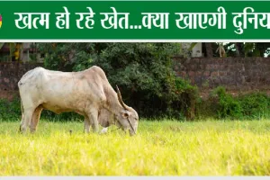 Kisan news: क्या होगा अगर खत्म हो जाएंगे खेत…
