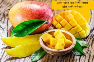 आम फलों का राजा है, गलत ढंग से खाने पर नुकसान भी ज्यादा है