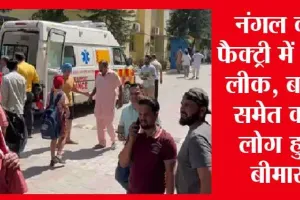 Breaking News: पंजाब के नंगल में फैक्ट्री में गैस लीक से 35 स्कूली बच्चो की तबियत बिगड़ी, शिक्षा मंत्री हरजोत सिंह बैंस घटना स्थल पर पहुंचे