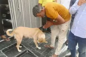 पानीपत में कुतिया के पैर पकड़कर मांगी माफी, Video वायरल