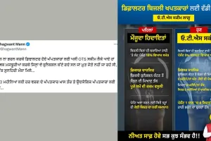 बिजली डिफॉल्टरों को राहत