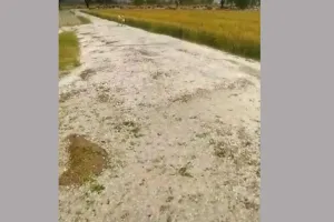 अलर्ट जारी: राजस्थान में तेज आंधी उड़ाएगी धूल, बारिश की भी संभावना