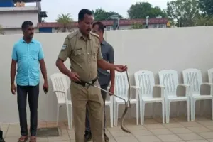 जब सांप अपनी समस्या लेकर पहुंचा सीएम के दरबार में!