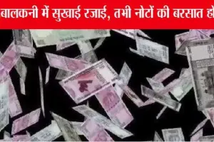 Trending News: बालकनी में सुखाई रजाई, तभी नोटों की बरसात हो आई