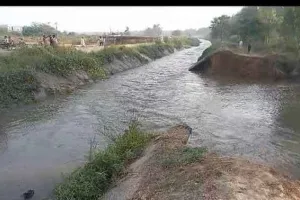 सीएलसी नहर में आई 50 मीटर चौड़ी दरार, 250 एकड़ भूमि में जलभराव
