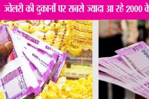2000 Rupees Note: जाने गुलाबी नोटों को लेकर क्यों बेचैन है लोग ?