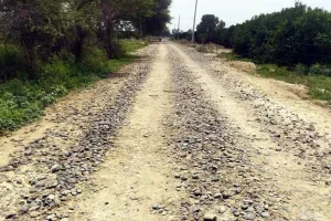 गांव हरिपुरा से दानेवाला को जाने वाली सड़क की हालत बनी दयनीय