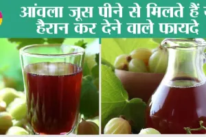 Amla Benefits: काम बड़े, आकार में छोटे! आंवला जूस के फायदे अनोखे | Amla Juice