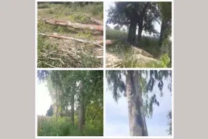 प्रबंधक प्रधानाचार्य ने कटवा डाले हरे भरे पेड़