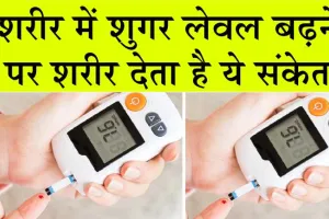 High Blood Sugar: शुगर लेवल बढ़ाने में खतरनाक हैं ये गंदी आदतें, ध्यान देना जरूरी!