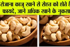 Cashew Nuts: क्या काजू खाना सेहत के लिए है फायदेमंद? जानें, इसके Benefits और Side Effects