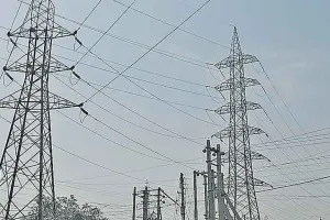 पानी में उतरे करंट की चपेट में आया बैल, मौत