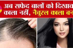 Hare Care: बाल धूप में सफेद हुए हों या गलत खान-पान से! सफेद बालों को काला करने का ये है अचूक उपाय!