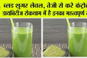 Juice For Control Diabetes: इंसुलिन से भरे हैं ये 4 ग्रीन जूस, पीते ही तबीयत हो जाएगी हरी