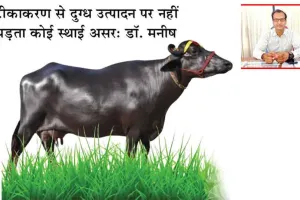 गर्मी के मौसम में दुधारू पशुओं का रखें विशेष ध्यान