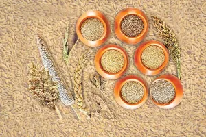 Benefits of Millets: मोटापा, कोलैस्ट्रोल, ब्लडप्रैशर से बचाव को रोज खायें मिलेट्स