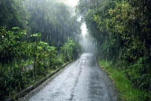 Monsoon : निकासी के हों उचित प्रबंध