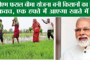 PM Fasal Bima Yojana: किसानों की हुई मौज, एक हफ्ते में मिलेगी खराब फसल के मुआवजे की डोज !