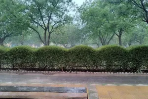 Haryana Ka Mausam: हरियाणा के अगले तीन दिन का मौसम जारी