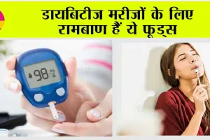 Sugar Cravings: जानिए, ऐसे कौन से फूड्स हैं जिन्हें खाने से ब्लड शुगर भी ना बढ़े और क्रेविंग भी शांत रहे