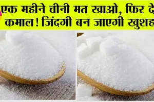 Sugar Free Habits: एक महीने चीनी मत खाओ, फिर देखो कमाल! जिंदगी बन जाएगी खुशहाल