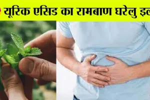 Uric Acid: यूरिक एसिड का रामबाण घरेलु इलाज