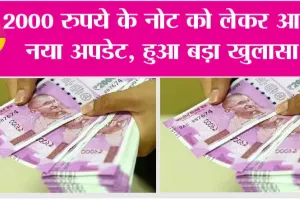Rs 2000 Notes: 2000 रुपये के नोट को लेकर आया नया अपडेट, जानें पूरी बात