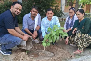 मां अम्बा बालिका डिग्री कालिज में शिक्षको ने किया पौधारोपण