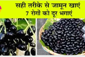 Benifits Of Blackberry: सही तरीके से जामुन खाएं, 7 रोगों को दूर भगाएं