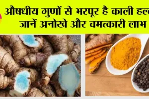 Black Turmeric: औषधीय गुणों से भरपूर है काली हल्दी, जानें अनोखे और चमत्कारी लाभ