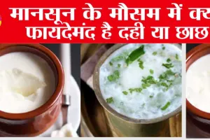 Curd Vs ButterMilk: मानसून के मौसम में क्यों फायदेमंद है दही या छाछ