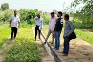 जिले में वृक्षारोपण सघन अभियान 15 जुलाई से 