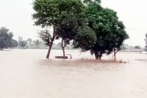 फाजिल्का में सतलुज का जलस्तर बढ़ा