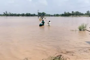 Ghaggar River: टोहाना के साथ लगते पंजाब में दो जगह टूटी घग्घर, ग्रामीण भयभीत, फतेहाबाद के गांवों पर खतरा मंडराया