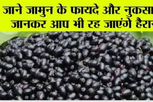 Jamun Benefits And Side Effects: जाने जामुन के फायदे और नुकसान, जानकर आप भी रह जाएंगे हैरान