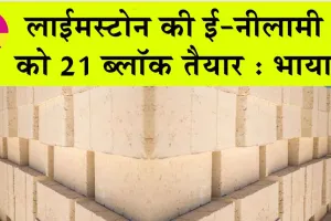 limestone E-auction: लाईमस्टोन की ई-नीलामी को 21 ब्लॉक तैयार : भाया