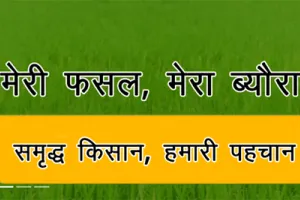 मेरी फसल-मेरा ब्यौरा पर पंजीकरण करवाने की अंतिम तिथि 31 जुलाई -उपायुक्त सिवाच