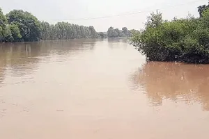 साढ़े पांच फुट पानी, जान को खतरा, फिर भी डेरा सच्चा सौदा के सेवादारों में सेवा का जज्बा