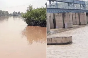 सरसा में ओटू हेड के सभी गेट खोले
