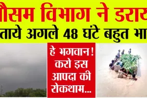 Punjab Weather Update: मौसम विभाग का अलर्ट, फिर होगी झमाझम बारिश, किसानों की बढ़ी चिंता