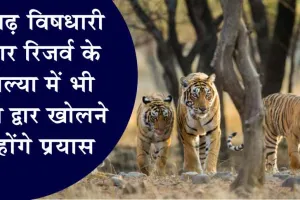 Ramgarh Vishdhari Tiger Reserve: पीपल्या में भी प्रवेश द्वार खोलने के होंगे प्रयास