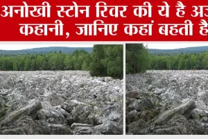 Stone River: ऐसी नदी जिसमें पानी नहीं सिर्फ पत्थर ही पत्थर! वैज्ञानिकों के लिए बनी पहेली
