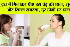 Arjuna Bark: दूध में मिलाकर पीएं इस पेड़ की छाल, शुगर और स्किन समस्या, दूर होगी हर हाल