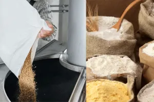 अब गांवों में मौजूद आटा चक्की संचालकों को कराना होगा पंजीकरण