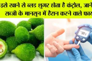 Blood Sugar: इसे खाने से ब्लड शुगर होता है कंट्रोल, जानें इस सब्जी के मानसून में हैरान करने वाले फायदे