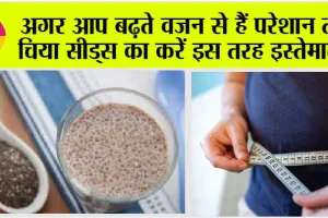 Chia Seeds for Weight Loss: अगर आप बढ़ते वजन से हैं परेशान तो चिया सीड्स का करें इस तरह इस्तेमाल, मिलेंगे कई फायदे